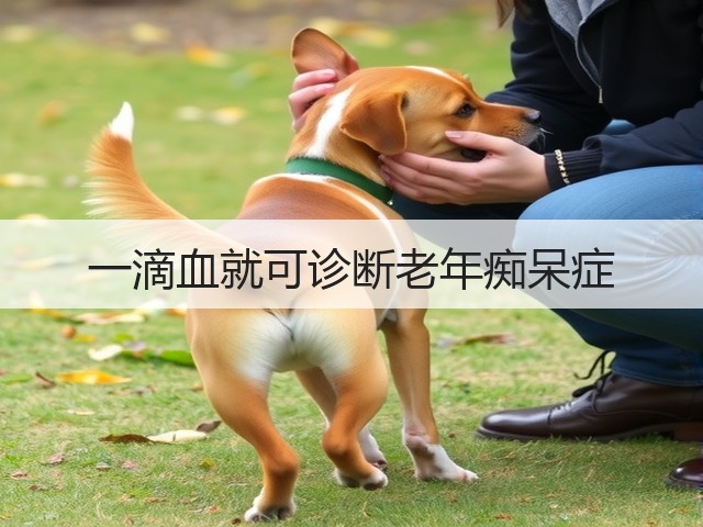 一滴血就可诊断老年痴呆症(图2) 一滴血就可诊断老年痴呆症(图2)