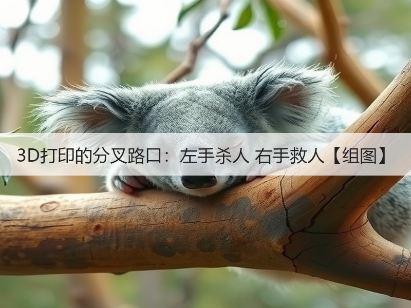 3D打印的分叉路口：左手杀人 右手救人【组图】