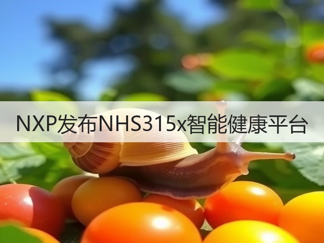 NXP发布NHS315x智能健康平台(图3) NXP发布NHS315x智能健康平台(图3)