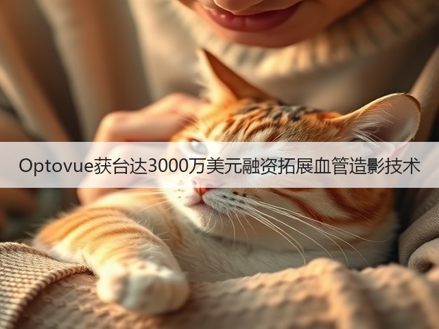 Optovue获台达3000万美元融资拓展血管造影技术(图3) Optovue获台达3000万美元融资拓展血管造影技术(图3)