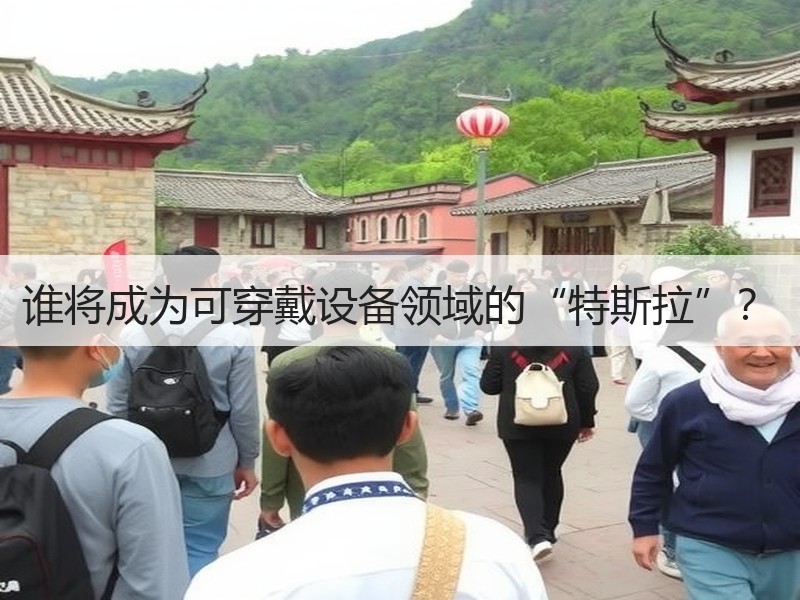 谁将成为可穿戴设备领域的“特斯拉”？