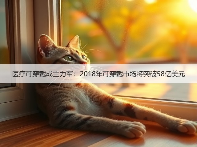 医疗可穿戴成主力军:2018年可穿戴市场将突破58亿美元(图2) 医疗可穿戴成主力军:2018年可穿戴市场将突破58亿美元(图2)