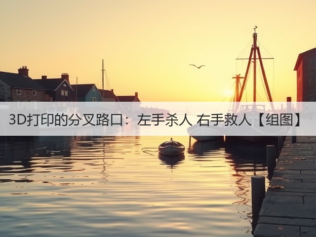 3D打印的分叉路口:左手杀人 右手救人【组图】(图2) 3D打印的分叉路口:左手杀人 右手救人【组图】(图2)