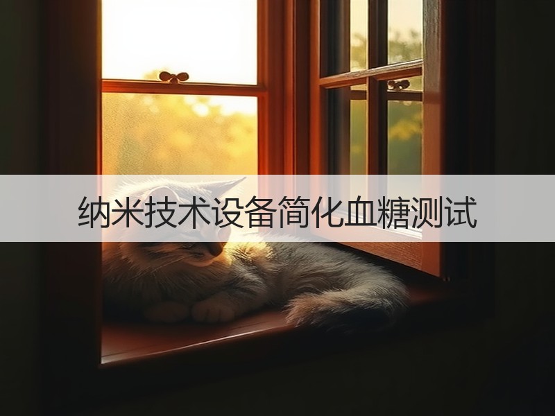 纳米技术设备简化血糖测试