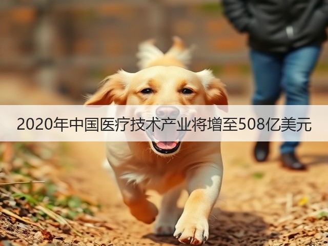 2020年中国医疗技术产业将增至508亿美元(图3)