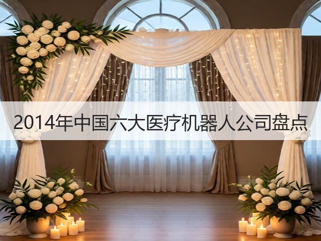 2014年中国六大医疗机器人公司盘点(图2) 2014年中国六大医疗机器人公司盘点(图2)
