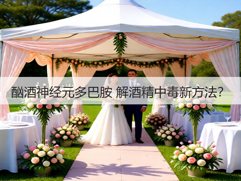 酗酒神经元多巴胺 解酒精中毒新方法？