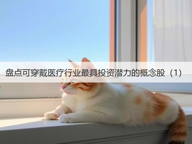 盘点可穿戴医疗行业最具投资潜力的概念股（1）(图1)