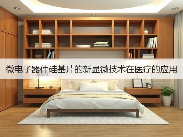 微电子器件硅基片的新显微技术在医疗的应用(图1) 微电子器件硅基片的新显微技术在医疗的应用(图1)