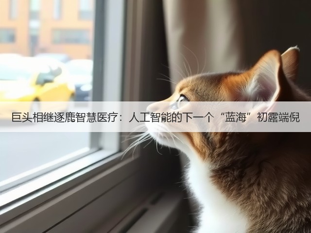 巨头相继逐鹿智慧医疗:人工智能的下一个“蓝海”初露端倪(图2) 巨头相继逐鹿智慧医疗:人工智能的下一个“蓝海”初露端倪(图2)