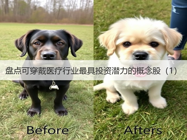 盘点可穿戴医疗行业最具投资潜力的概念股（1）(图2)