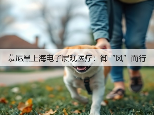 慕尼黑上海电子展观医疗：御“风”而行(图2)
