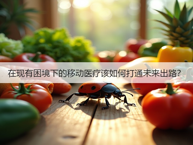 在现有困境下的移动医疗该如何打通未来出路?(图1) 在现有困境下的移动医疗该如何打通未来出路?(图1)