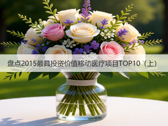 盘点2015最具投资价值移动医疗项目TOP10(上)(图3) 盘点2015最具投资价值移动医疗项目TOP10(上)(图3)