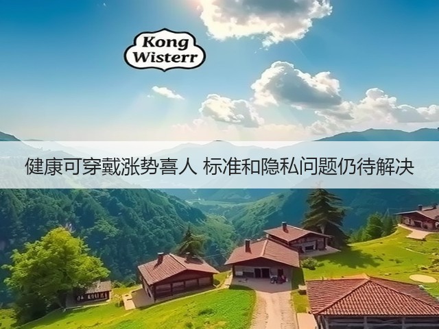 健康可穿戴涨势喜人 标准和隐私问题仍待解决(图1)