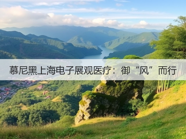 慕尼黑上海电子展观医疗：御“风”而行(图3)