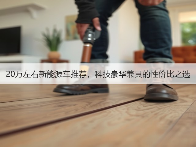 20万左右新能源车推荐,科技豪华兼具的性价比之选(图1) 20万左右新能源车推荐,科技豪华兼具的性价比之选(图1)