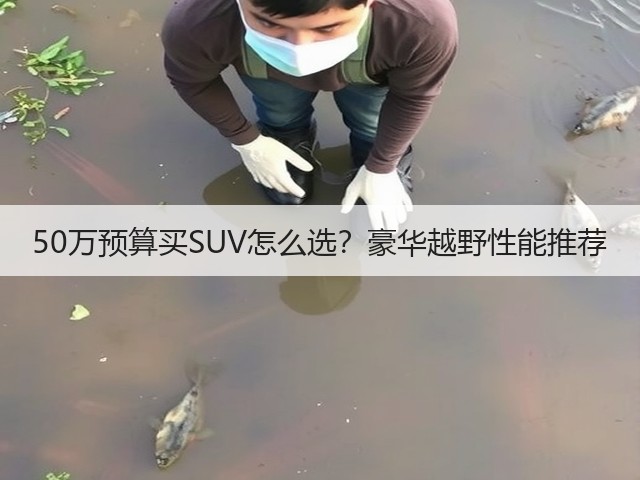 50万预算买SUV怎么选?豪华越野性能推荐(图2) 50万预算买SUV怎么选?豪华越野性能推荐(图2)