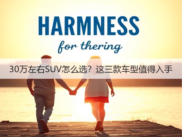 30万左右SUV怎么选?这三款车型值得入手(图3) 30万左右SUV怎么选?这三款车型值得入手(图3)