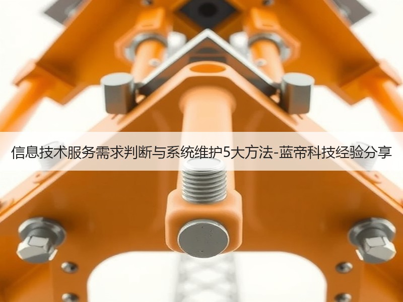 信息技术服务需求判断与系统维护5大方法-蓝帝科技经验分享