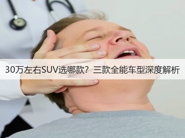 30万左右SUV选哪款?三款全能车型深度解析(图3) 30万左右SUV选哪款?三款全能车型深度解析(图3)