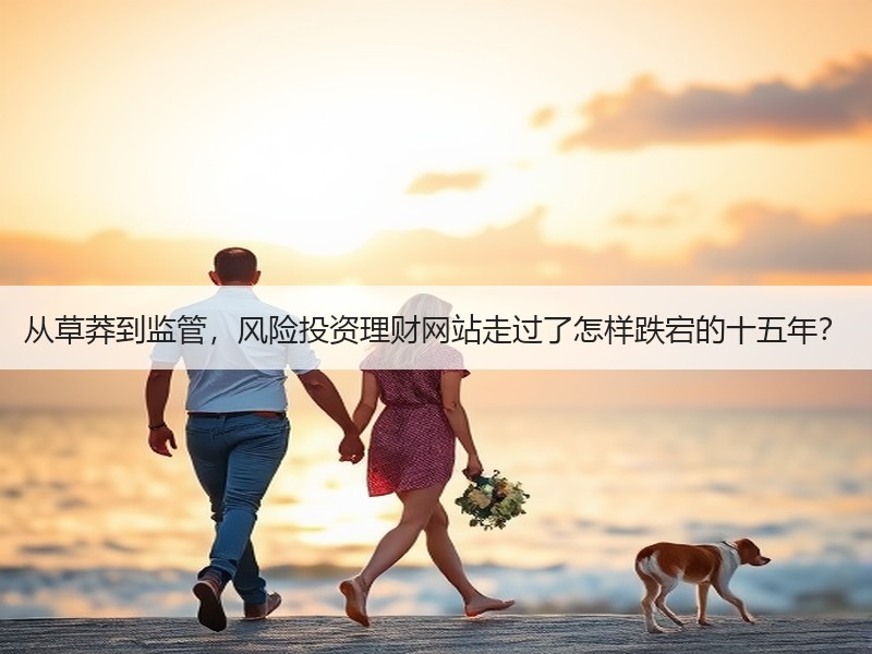 从草莽到监管，风险投资理财网站走过了怎样跌宕的十五年？