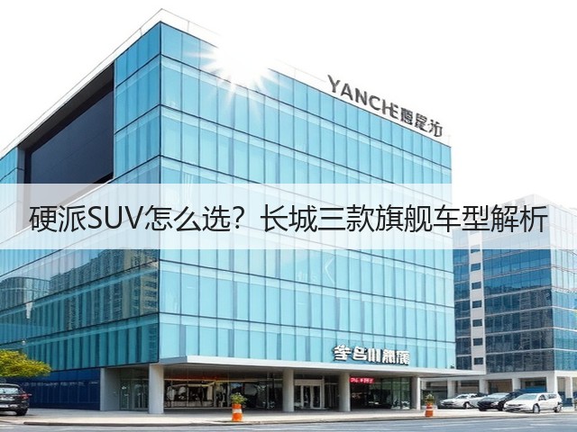 硬派SUV怎么选？长城三款旗舰车型解析(图3)