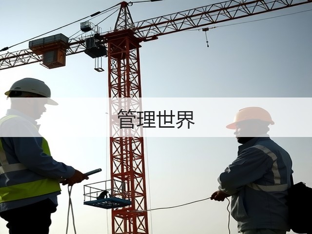 管理世界(图1) 管理世界(图1)
