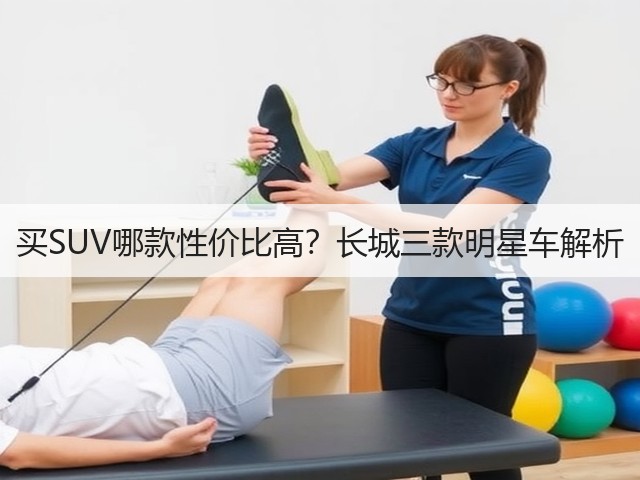 买SUV哪款性价比高?长城三款明星车解析(图2) 买SUV哪款性价比高?长城三款明星车解析(图2)