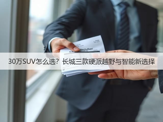 30万SUV怎么选?长城三款硬派越野与智能新选择(图2) 30万SUV怎么选?长城三款硬派越野与智能新选择(图2)